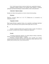 Prekių saugojimo reikalavimų prisilaikymo konkrečioje įmonėje įvertinimas 3 puslapis
