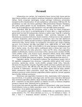 Procesorius 2 puslapis