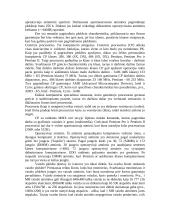 Procesorius 3 puslapis