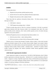 Produkto darymo proceso valdymo praktika organizacijoje 3 puslapis