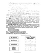 Produkto modifikavimas 2 puslapis