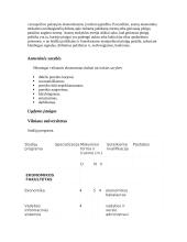 Profesijos aprašymas: ekonomistas 4 puslapis