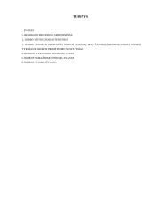 Profesinė sauga: tinkuotojo mokymas UAB "Statyba" 16 puslapis