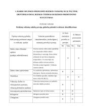 Profesinė sauga: tinkuotojo mokymas UAB "Statyba" 4 puslapis