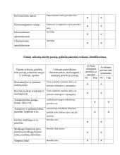 Profesinė sauga: tinkuotojo mokymas UAB "Statyba" 5 puslapis