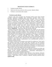 Profesinės etikos dilemos 3 puslapis