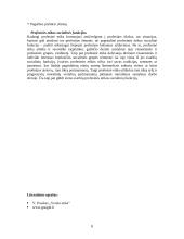 Profesinės etikos dilemos 8 puslapis