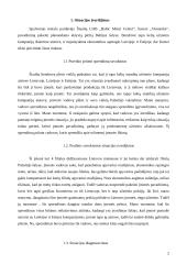 Racionalaus valdymo sprendimo priėmimas. Situacijos analizė 2 puslapis