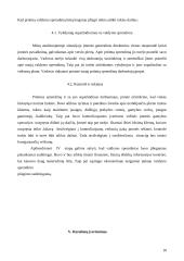 Racionalaus valdymo sprendimo priėmimas. Situacijos analizė 10 puslapis