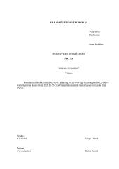 Organizaciniai dokumentai 11 puslapis