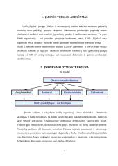 Raštvedybos sistemos analizė: UAB "Pijušas" 4 puslapis