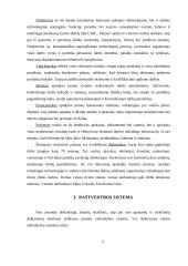 Raštvedybos sistemos analizė: UAB "Pijušas" 5 puslapis