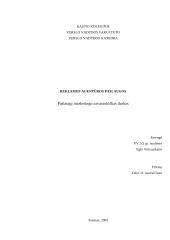 Reklamos agentūros paslaugos