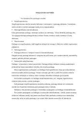 Reklamos agentūros paslaugos 6 puslapis