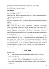 Rinkodaros strateginis planas: UAB "SBA baldai" 5 puslapis