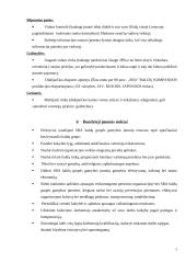 Rinkodaros strateginis planas: UAB "SBA baldai" 6 puslapis