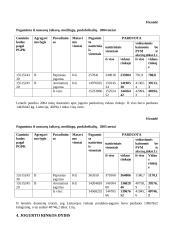 Rinkos dydžio vertinimas 13 puslapis