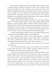 Rinkos teigiamybės ir neigiamybės 11 puslapis