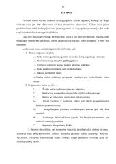 Rinkos teigiamybės ir neigiamybės 17 puslapis