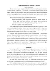 Rinkos teigiamybės ir neigiamybės 3 puslapis