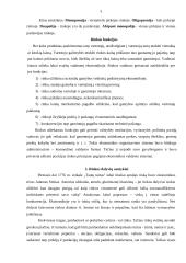 Rinkos teigiamybės ir neigiamybės 5 puslapis