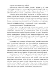 Rinkos teigiamybės ir neigiamybės 7 puslapis