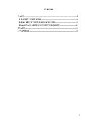 Roma per turizmo prizmę 2 puslapis