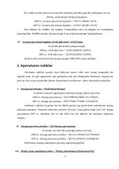 Santykinių finansinių rodiklių skaičiavimas: AB "VST" 5 puslapis