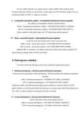 Santykinių finansinių rodiklių skaičiavimas: AB "VST" 7 puslapis