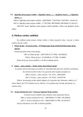 Santykinių finansinių rodiklių skaičiavimas: AB "VST" 10 puslapis