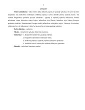 Sąskaitų uždarymo ypatumai 2 puslapis