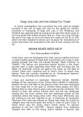 Save the animals 3 puslapis