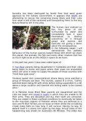 Save the animals 4 puslapis