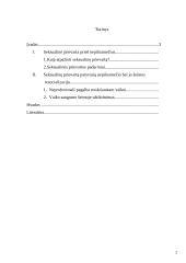 Seksualinę prievartą patyrusių vaikų resocializacija 2 puslapis