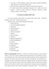 Senų žmonių problemos 13 puslapis