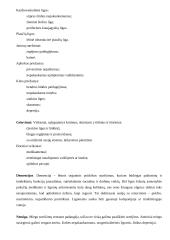 Senų žmonių problemos 16 puslapis