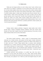 Senų žmonių problemos 8 puslapis