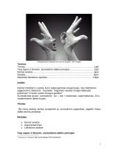 Tarp sapno ir tikrovės: siurrealizmo dailės principai 2 puslapis