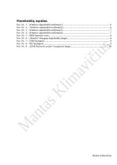 Slaptažodžių nulaužimo/išviliojimo strategija ir būdai 3 puslapis