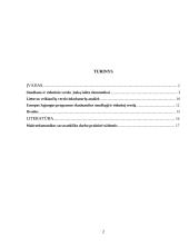 Smulkaus ir vidutinio verslo skatinimo priemonės Europos Sąjungoje ir Lietuvoje 2 puslapis