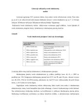 Smulkaus ir vidutinio verslo skatinimo priemonės Europos Sąjungoje ir Lietuvoje 11 puslapis