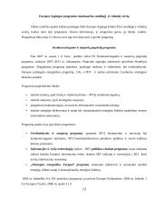 Smulkaus ir vidutinio verslo skatinimo priemonės Europos Sąjungoje ir Lietuvoje 13 puslapis