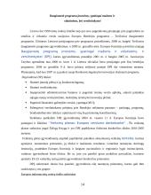Smulkaus ir vidutinio verslo skatinimo priemonės Europos Sąjungoje ir Lietuvoje 14 puslapis