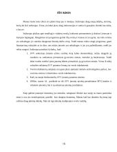 Smulkaus ir vidutinio verslo skatinimo priemonės Europos Sąjungoje ir Lietuvoje 16 puslapis