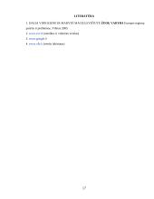 Smulkaus ir vidutinio verslo skatinimo priemonės Europos Sąjungoje ir Lietuvoje 17 puslapis