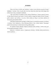 Smulkaus ir vidutinio verslo skatinimo priemonės Europos Sąjungoje ir Lietuvoje 3 puslapis