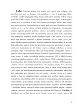 Smurtas prieš moterį šeimoje 2 puslapis