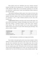 Smurtas prieš moterį šeimoje 6 puslapis