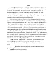 Smurto prieš moterį šeimoje problema 2 puslapis