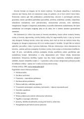 Smurto prieš moterį šeimoje problema 3 puslapis